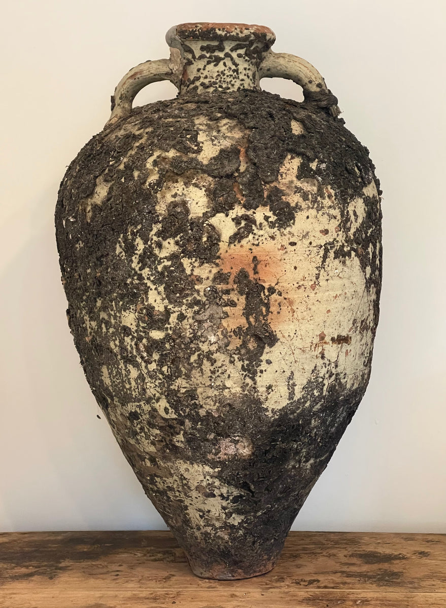 Amphora – Conifer
